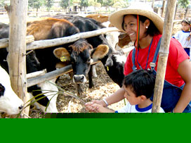 Turismo educativo vivencial